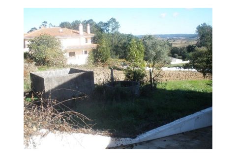 Tomt i Monte Real, Leiria, Monte Real - € 55 000 | Ref: mg1420 - foto 4
