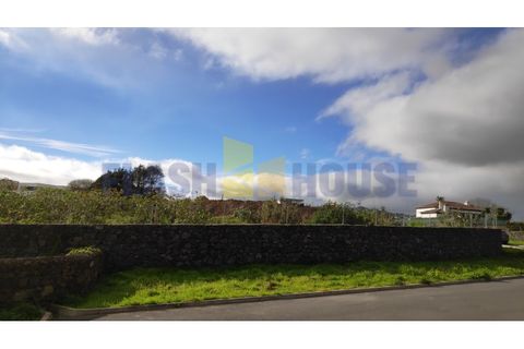 Terra a Sao Roque, Madeira, Sao Roque - € 570.000 | Ref: MPDL5018-BS - foto 3