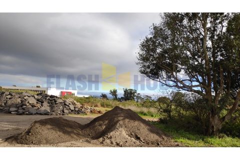 Terra a Sao Roque, Madeira, Sao Roque - € 570.000 | Ref: MPDL5018-BS - foto 5