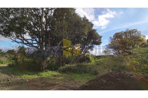 Terra a Sao Roque, Madeira, Sao Roque - € 570.000 | Ref: MPDL5018-BS - foto 2