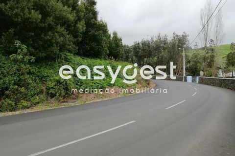 Terra a Terra Cha, Terceira, Terra Cha - € 25.000 | Ref: AZ80972MS - foto 3