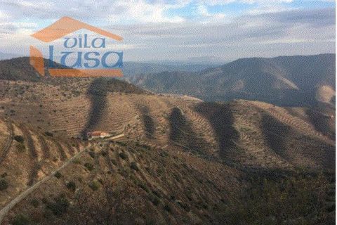 Farm i Torre de Moncorvo, Braganca, Torre de Moncorvo - € 2.500.000 | Ref: 803121004 - foto 2