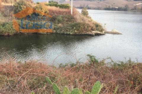 Farm i Torre de Moncorvo, Braganca, Torre de Moncorvo - € 2.500.000 | Ref: 803121004 - foto 6