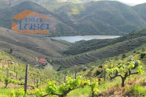 Farm i Torre de Moncorvo, Braganca, Torre de Moncorvo - € 2.500.000 | Ref: 803121004 - foto 7