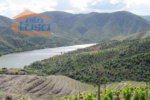 Farm i Torre de Moncorvo, Braganca, Torre de Moncorvo - € 2.500.000 | Ref: 803121004 - foto 9