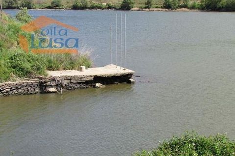 Farm i Torre de Moncorvo, Braganca, Torre de Moncorvo - € 2.500.000 | Ref: 803121004 - foto 10