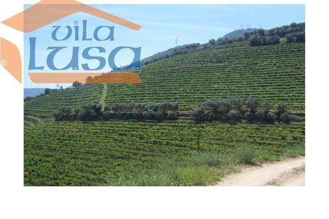 Farm i Armamar, Viseu, Armamar - € 5.000.000 | Ref: 803121007 - foto 1