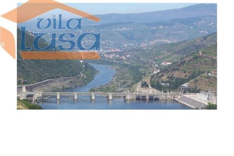 Farm i Armamar, Viseu, Armamar - € 5.000.000 | Ref: 803121007 - foto 2
