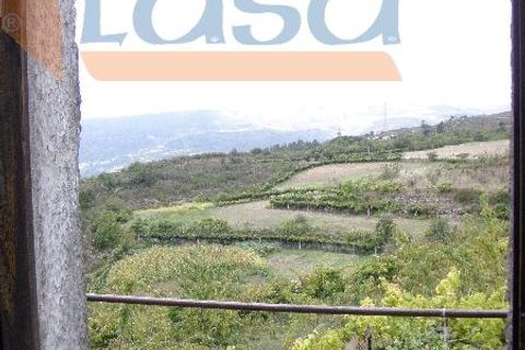 Farm i Resende, Viseu, Resende - € 600.000 | Ref: 803131038 - foto 4