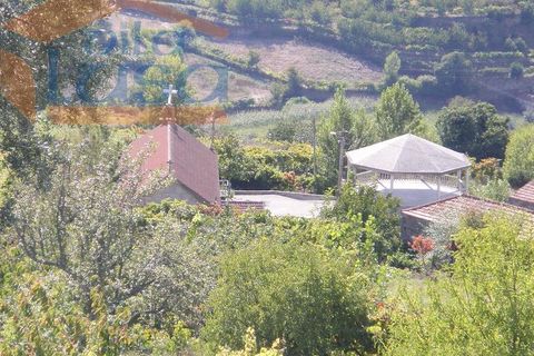 Farm i Resende, Viseu, Resende - € 600.000 | Ref: 803131038 - foto 6