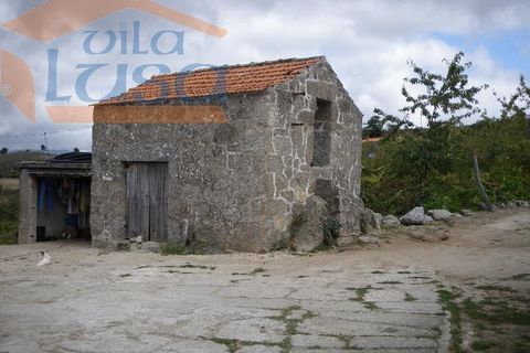 Farm i Resende, Viseu, Resende - € 600.000 | Ref: 803131038 - foto 7