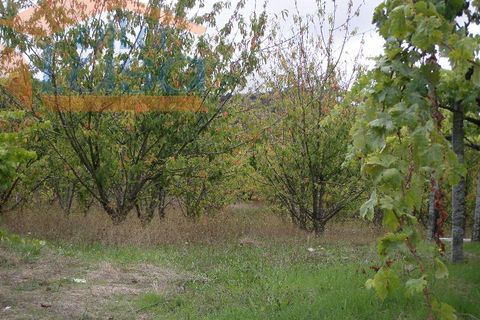 Farm i Resende, Viseu, Resende - € 600.000 | Ref: 803131038 - foto 9