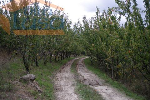 Farm i Resende, Viseu, Resende - € 600.000 | Ref: 803131038 - foto 11