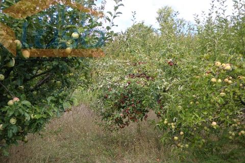 Farm i Resende, Viseu, Resende - € 600.000 | Ref: 803131038 - foto 14