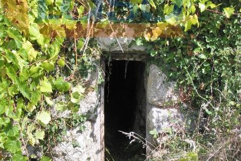 Farm i Resende, Viseu, Resende - € 600.000 | Ref: 803131038 - foto 15
