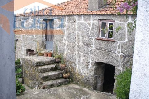 Farm i Resende, Viseu, Resende - € 600.000 | Ref: 803131038 - foto 16