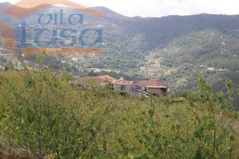 Farm i Resende, Viseu, Resende - € 600.000 | Ref: 803131038 - foto 19