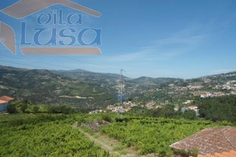 Farm i Resende, Viseu, Resende - € 1.600.000 | Ref: 803141007 - foto 2