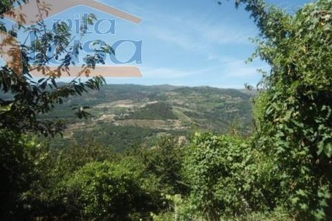 Farm i Resende, Viseu, Resende - € 1.600.000 | Ref: 803141007 - foto 10