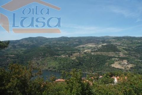 Farm i Resende, Viseu, Resende - € 1.600.000 | Ref: 803141007 - foto 11