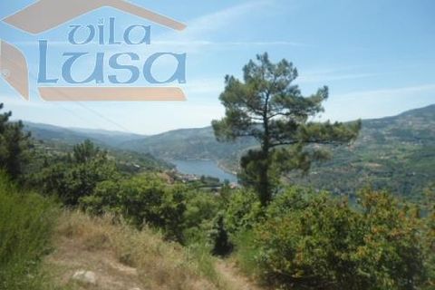 Farm i Resende, Viseu, Resende - € 1.600.000 | Ref: 803141007 - foto 12
