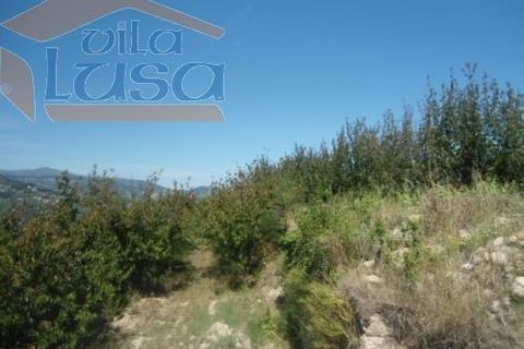 Farm i Resende, Viseu, Resende - € 1.600.000 | Ref: 803141007 - foto 14