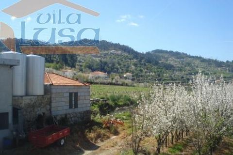 Farm i Resende, Viseu, Resende - € 1.600.000 | Ref: 803141007 - foto 15