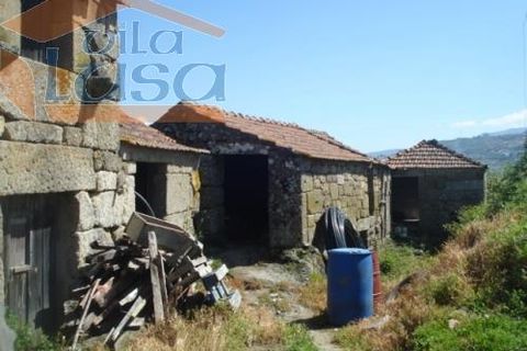 Farm i Resende, Viseu, Resende - € 1.600.000 | Ref: 803141007 - foto 17