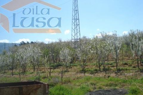 Farm i Resende, Viseu, Resende - € 1.600.000 | Ref: 803141007 - foto 19