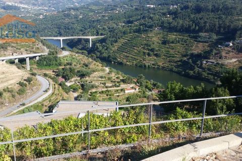 Farm hus i Baiao, Porto, Baiao - € 1.350.000 | Ref: 803201004 - foto 1
