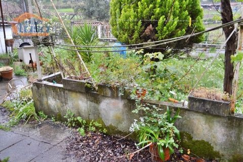 Farm i Paredes, Porto, Paredes - € 40.000 | Ref: 807191014 - foto 3