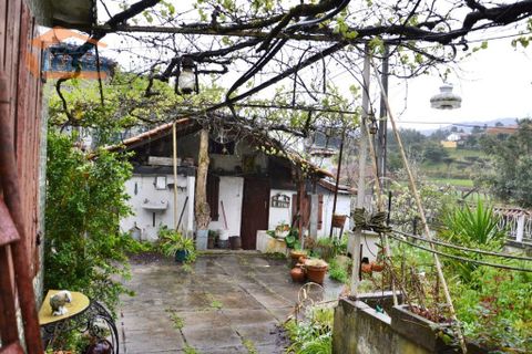 Farm i Paredes, Porto, Paredes - € 40.000 | Ref: 807191014 - foto 5