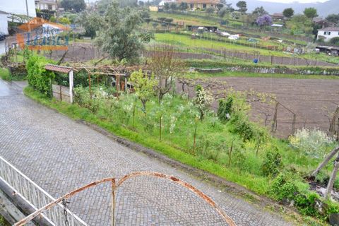Farm i Paredes, Porto, Paredes - € 40.000 | Ref: 807191014 - foto 6