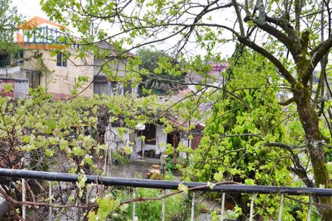 Farm i Paredes, Porto, Paredes - € 40.000 | Ref: 807191014 - foto 7