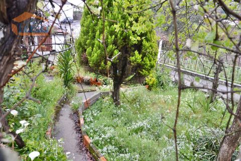 Farm i Paredes, Porto, Paredes - € 40.000 | Ref: 807191014 - foto 10
