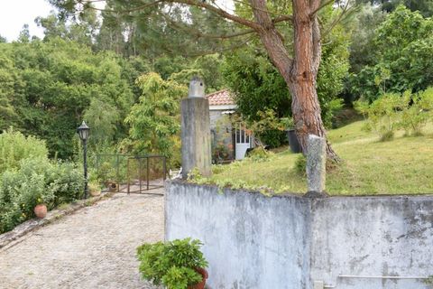 Farm i Moncao, Viana do Castelo, Moncao - € 600.000 | Ref: MNC0979QTA - foto 37