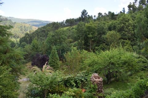Farm i Moncao, Viana do Castelo, Moncao - € 600.000 | Ref: MNC0979QTA - foto 39