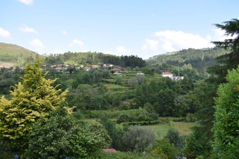 Farm i Moncao, Viana do Castelo, Moncao - € 600.000 | Ref: MNC0979QTA - foto 41