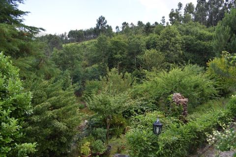 Farm i Moncao, Viana do Castelo, Moncao - € 600.000 | Ref: MNC0979QTA - foto 43