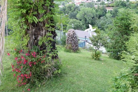 Farm i Moncao, Viana do Castelo, Moncao - € 600.000 | Ref: MNC0979QTA - foto 45