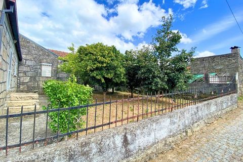 Farm i Moncao, Viana do Castelo, Moncao - € 300.000 | Ref: MNC0390QTA - foto 3