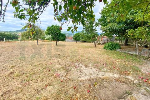 Farm i Moncao, Viana do Castelo, Moncao - € 300.000 | Ref: MNC0390QTA - foto 18