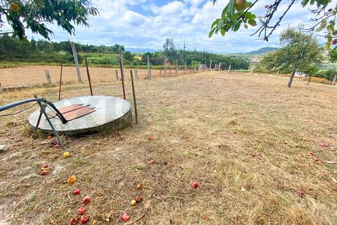 Farm i Moncao, Viana do Castelo, Moncao - € 300.000 | Ref: MNC0390QTA - foto 19