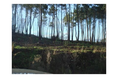 Helårsgrund i Cambeses, Viana do Castelo, Cambeses - € 53.000 | Ref: MNC0134T - foto 2