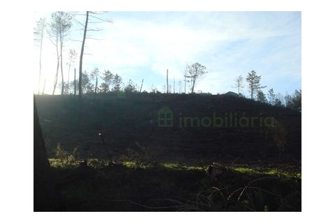 Helårsgrund i Cambeses, Viana do Castelo, Cambeses - € 53.000 | Ref: MNC0134T - foto 3