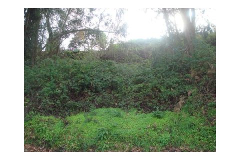 Helårsgrund i Moncao, Viana do Castelo, Moncao - € 60.000 | Ref: MNC0127T - foto 2