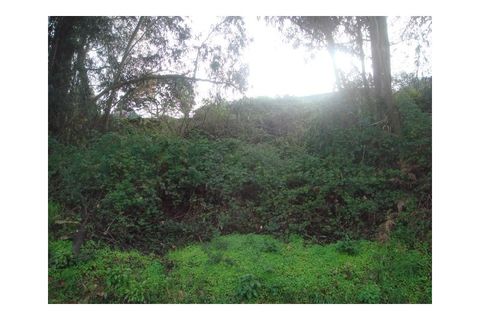 Helårsgrund i Moncao, Viana do Castelo, Moncao - € 60.000 | Ref: MNC0127T - foto 4