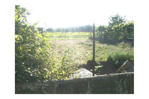 Helårsgrund i Moncao, Viana do Castelo, Moncao - € 200.000 | Ref: MNC0339T - foto 3