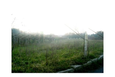 Helårsgrund i Moncao, Viana do Castelo, Moncao - € 62.500 | Ref: MNC0356T - foto 2