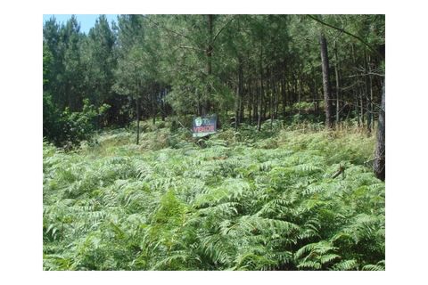 Helårsgrund i Moncao, Viana do Castelo, Moncao - € 35.000 | Ref: MNC0213T - foto 2
